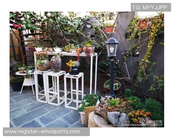 探索刘敏的乒乓球人生背后的故事与心路历程 探索刘敏的乒乓球人生背后的故事与心路历程