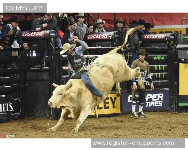 北京极限运动队在全国极限运动排行榜中荣获第十名展现出强大实力与潜力